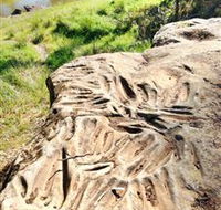 Terramungamine Rock Grooves - Accommodation QLD