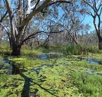 Macquarie Valley Trails