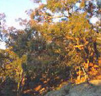 Mount Alexander Regional Park - Accommodation QLD