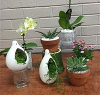Cobram Florist - Accommodation QLD