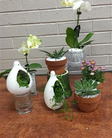 Cobram Florist - Accommodation QLD 0