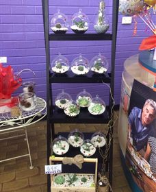 Cobram Florist - Accommodation QLD 3