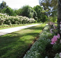 Barooga Botanical Gardens - Accommodation QLD