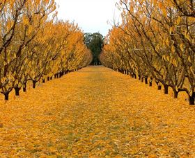 Accommodation QLD