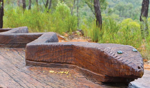 Sculptures In The Scrub Walking Track - Accommodation QLD 3