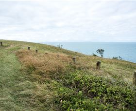 Cape Palmerston National Park - Accommodation QLD 3