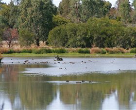 Girgarre East ACT Accommodation QLD