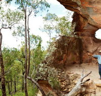 Pilliga National Park - Accommodation QLD