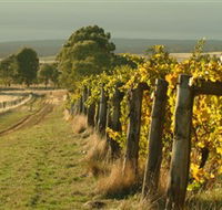 Captains Creek Organic Wines - Accommodation QLD