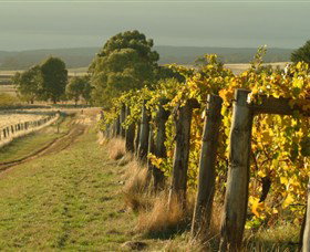 Captains Creek Organic Wines - Accommodation QLD 0