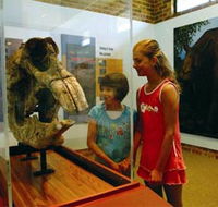 Australian Museum Diprotodon Exhibition - Accommodation QLD