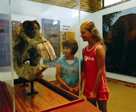Australian Museum Diprotodon Exhibition - Accommodation QLD 0