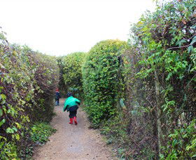 The Tangled Maze & Mistydowns Nursery - Accommodation QLD 1