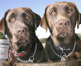 Ellender Estate - Accommodation QLD 7