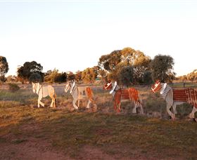 Pastoral Shadows Of Brookong - Accommodation QLD 2