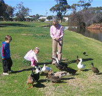 Roy Little Park Merredin - Accommodation QLD