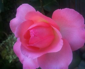 Abandon Stress Mobile Massage - Accommodation QLD 2