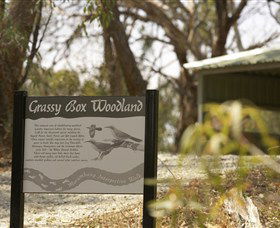 Coolamon NSW Accommodation QLD