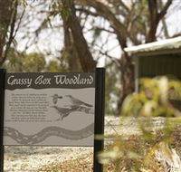 Kindra Forest - Accommodation QLD