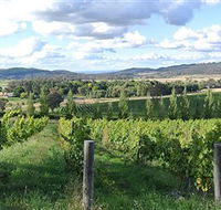 Sassy Wines - Accommodation QLD