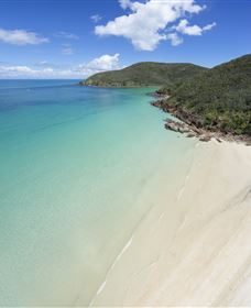 Basil Bay On Keswick Island - Accommodation QLD 2