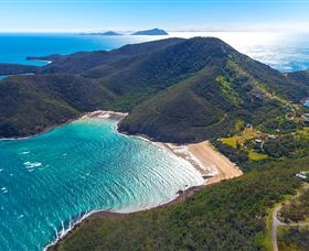Birdwatching On Keswick Island - Accommodation QLD 1