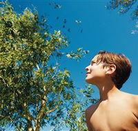 Bushwalking on Keswick Island - Accommodation QLD