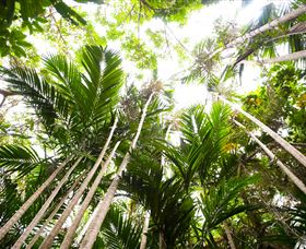 Bushwalking On Keswick Island - Accommodation QLD 1