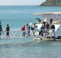 Scuba Diving on Keswick Island - Accommodation QLD