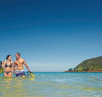 Snorkelling on Keswick Island - Accommodation QLD