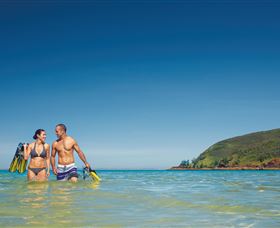 Snorkelling On Keswick Island - Accommodation QLD 0