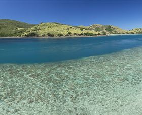 Snorkelling On Keswick Island - Accommodation QLD 1