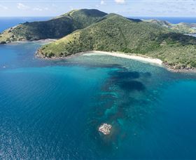 Snorkelling On Keswick Island - Accommodation QLD 2