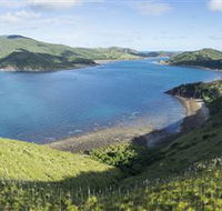 The Cremer Shipwreck Dive Site - Keswick Island - Accommodation QLD