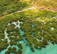The Singapore Shipwreck Dive Site - Keswick Island - Accommodation QLD