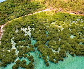 The Singapore Shipwreck Dive Site - Keswick Island - Accommodation QLD 0