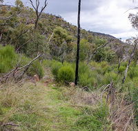 Lynchs loop trail - Accommodation QLD