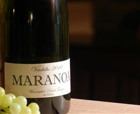 Baptista - David Traeger - Accommodation QLD 0