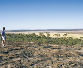 Marshall Rock - Accommodation QLD 1