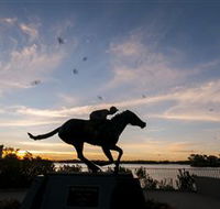 Black Caviar Statue - Accommodation QLD