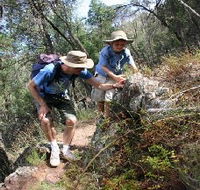 Mount Arthur Reserve - Accommodation QLD