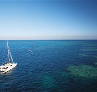 Bait Reef and Garys Lagoon Dive Site - Accommodation QLD