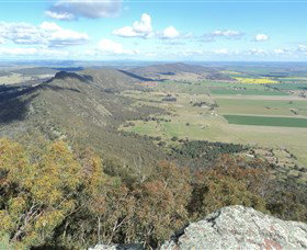 The Rock Nature Reserve - Accommodation QLD 3