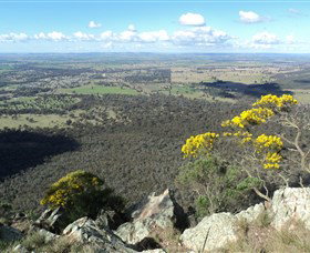 The Rock Nature Reserve - Accommodation QLD 4