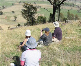 The Rock Nature Reserve - Accommodation QLD 2