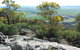 The Rock Nature Reserve - thumb 6