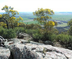 The Rock Nature Reserve - Accommodation QLD 6