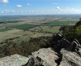 The Rock Nature Reserve - Accommodation QLD 5