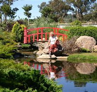 Wellington Osawano Japanese Gardens - Accommodation QLD