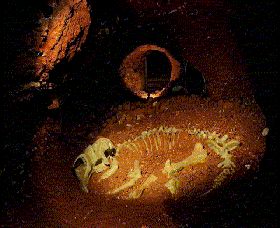 Wellington Caves And Phosphate Mine - Accommodation QLD 2